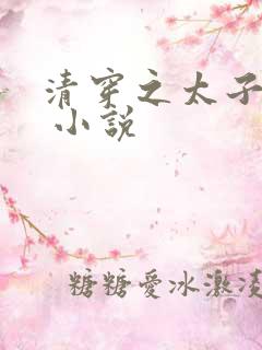 清穿之太子娇妃 小说