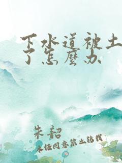 下水道被土豆堵了怎么办