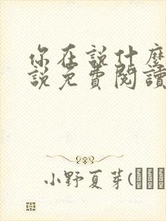 你在说什么啊小说免费阅读