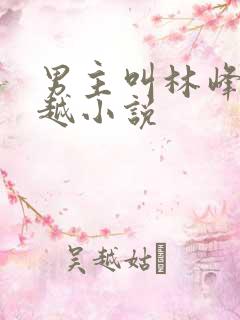 男主叫林峰的穿越小说