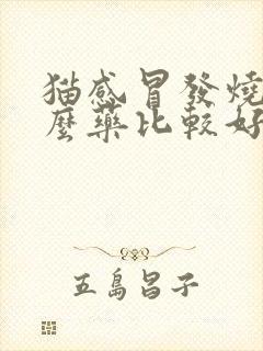 猫感冒发烧吃什么药比较好