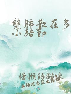 双肺散在多发微小结节