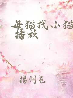 母猫找小猫叫声 播放