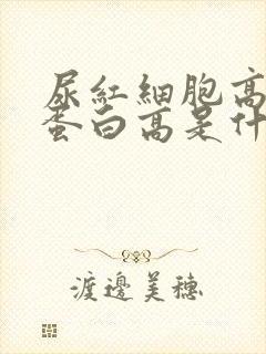 尿红细胞高和尿蛋白高是什么原因