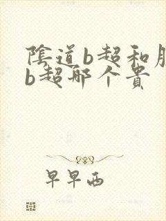 阴道b超和腹部b超哪个贵