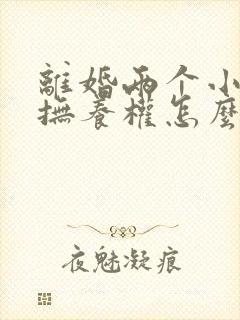 离婚两个小孩子抚养权怎么判定