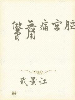 做无痛宫腔镜的费用