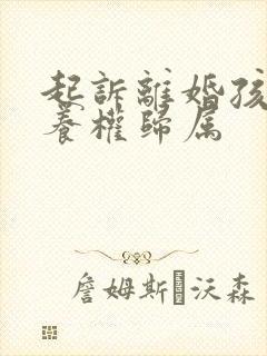 起诉离婚孩子抚养权归属