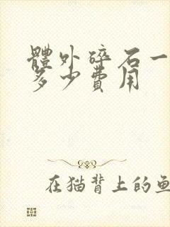 体外碎石一次用多少费用