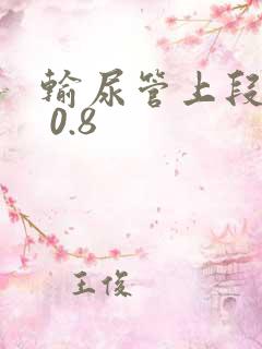 输尿管上段结石 0.8