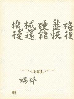 机械硬盘格式化后还能恢复数据吗