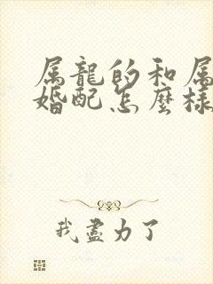 属龙的和属鸡的婚配怎么样