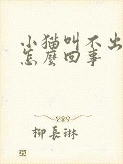 小猫叫不出声音怎么回事