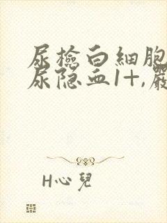 尿检白细胞2+尿隐血1+,严重吗