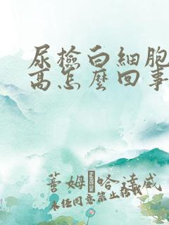 尿检白细胞计数高怎么回事