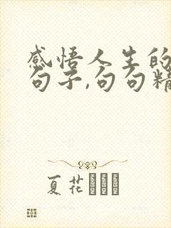 感悟人生的哲理句子,句句精辟