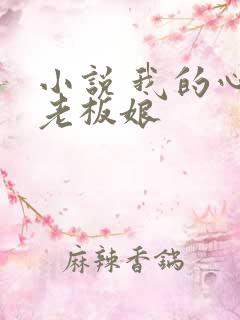 小说 我的心动老板娘