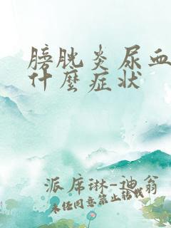 膀胱炎尿血尿是什么症状