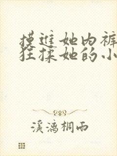 摸进她内裤里疯狂揉她的小说