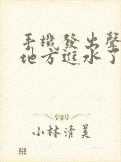 手机发出声音的地方进水了怎么办