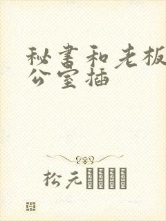 秘书和老板在办公室插