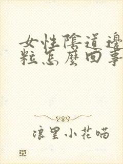 女性阴道边起颗粒怎么回事啊