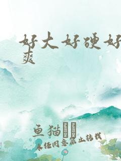 好大好硬好湿好爽