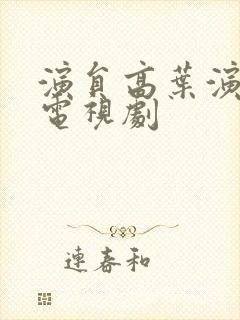 演员高叶演过的电视剧