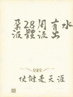 孕28周有水样液体流出