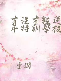 有没有叛逆青少年特训学校