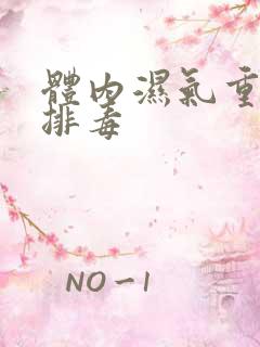 体内湿气重怎么排毒