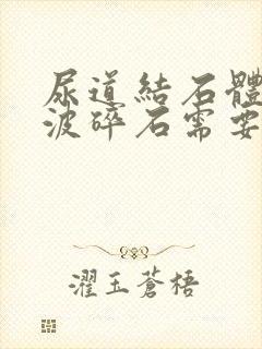 尿道结石体外震波碎石需要多少钱