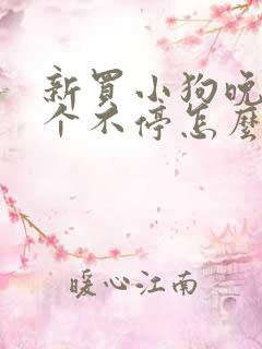 新买小狗晚上叫个不停怎么办