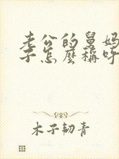 老公的舅妈我儿子怎么称呼