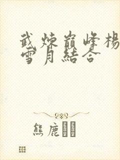 武炼巅峰杨开与雪月结合