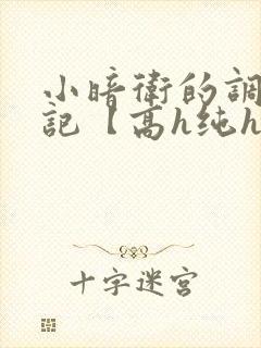 小暗卫的调教日记【高h纯h】