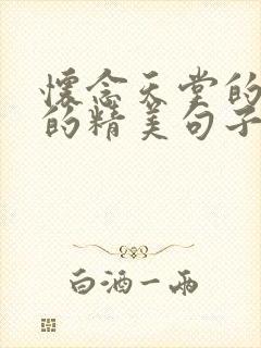 怀念天堂的母亲的精美句子