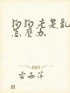 狗狗老是乱撒尿怎么办