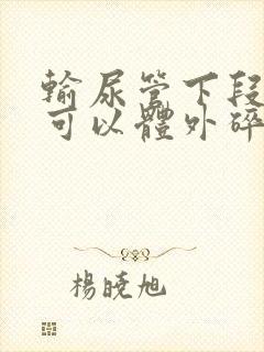 输尿管下段结石可以体外碎石