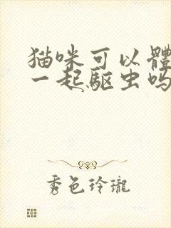 猫咪可以体内外一起驱虫吗