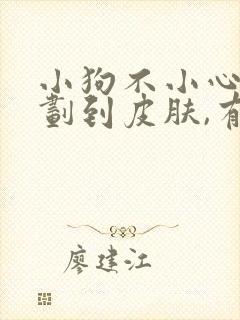 小狗不小心牙齿划到皮肤,有点出血怎么办