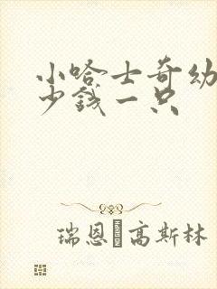 小哈士奇幼犬多少钱一只