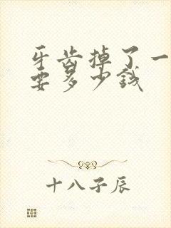 牙齿掉了一个补要多少钱