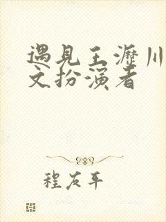 遇见王沥川叶静文扮演者