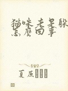 猫咪老是躲起来怎么回事