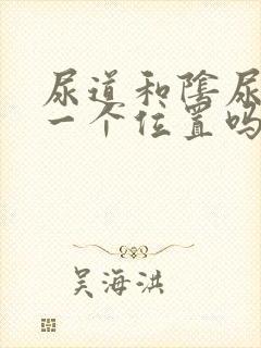 尿道和阴尿道是一个位置吗