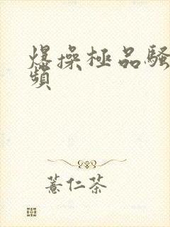 爆操极品骚货视频