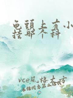 龟头上有小肉芽挂哪个科