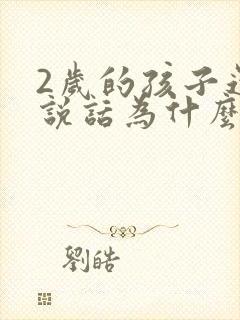 2岁的孩子还不说话为什么