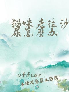 猫咪老往沙发上尿怎么办